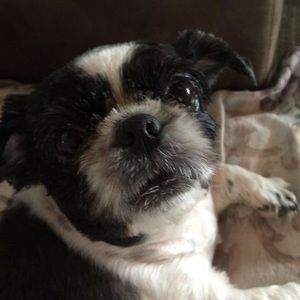 Meet your Posher, Pam